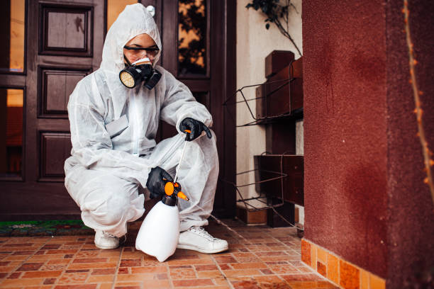 Attic and Crawl Space Rodent Treatment in New Haven